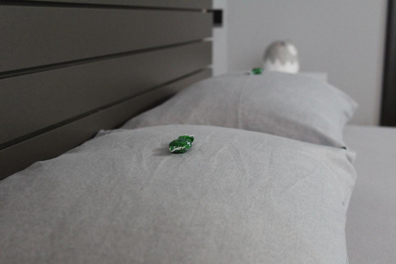 Apartman Daca Podgorica Exteriér fotografie